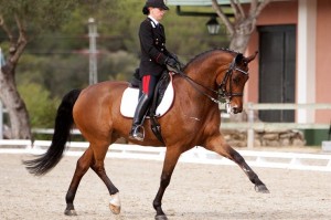 AREZZO EQUESTRIAN CENTRE Truppa Sanavio Colombo