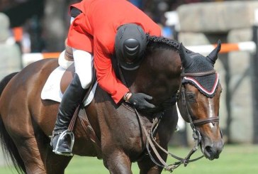 Addio Hickstead, piccolo grande campione