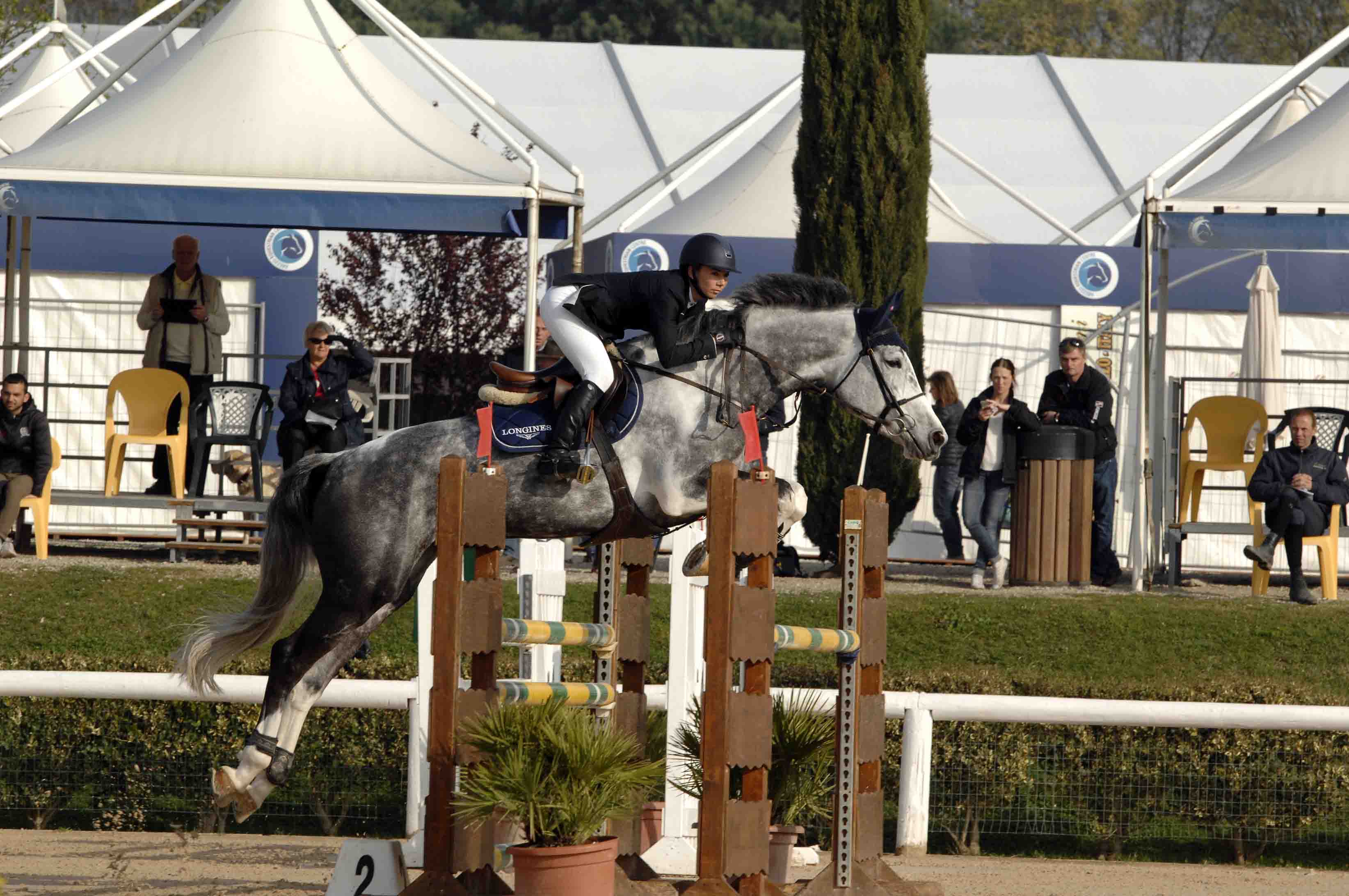 L Arezzo Equestrian Centre ha aperto la terza settimana del