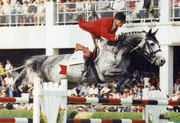 Athletico in seme fresco presso il Centro Equino Arcadia